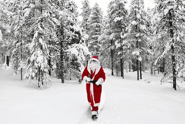 tilausajot rovaniemi